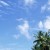paradise