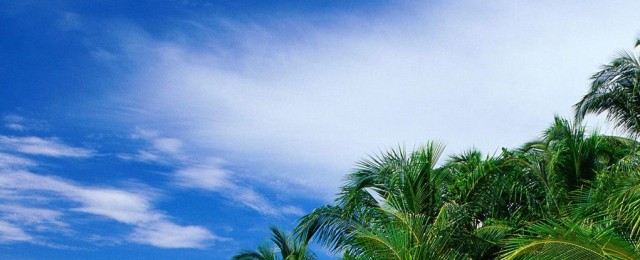 Uskomattoman halpa äkkilähtö, 510€ lennot ja hotelli Panamaan! Aurinkomatkat tarjoaa aivan uskomattoman halvan äkkilähdön! Panamaan pääsee nyt kahdeksi viikoksi 510 eurolla ja matkaan...