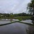 WP_000314